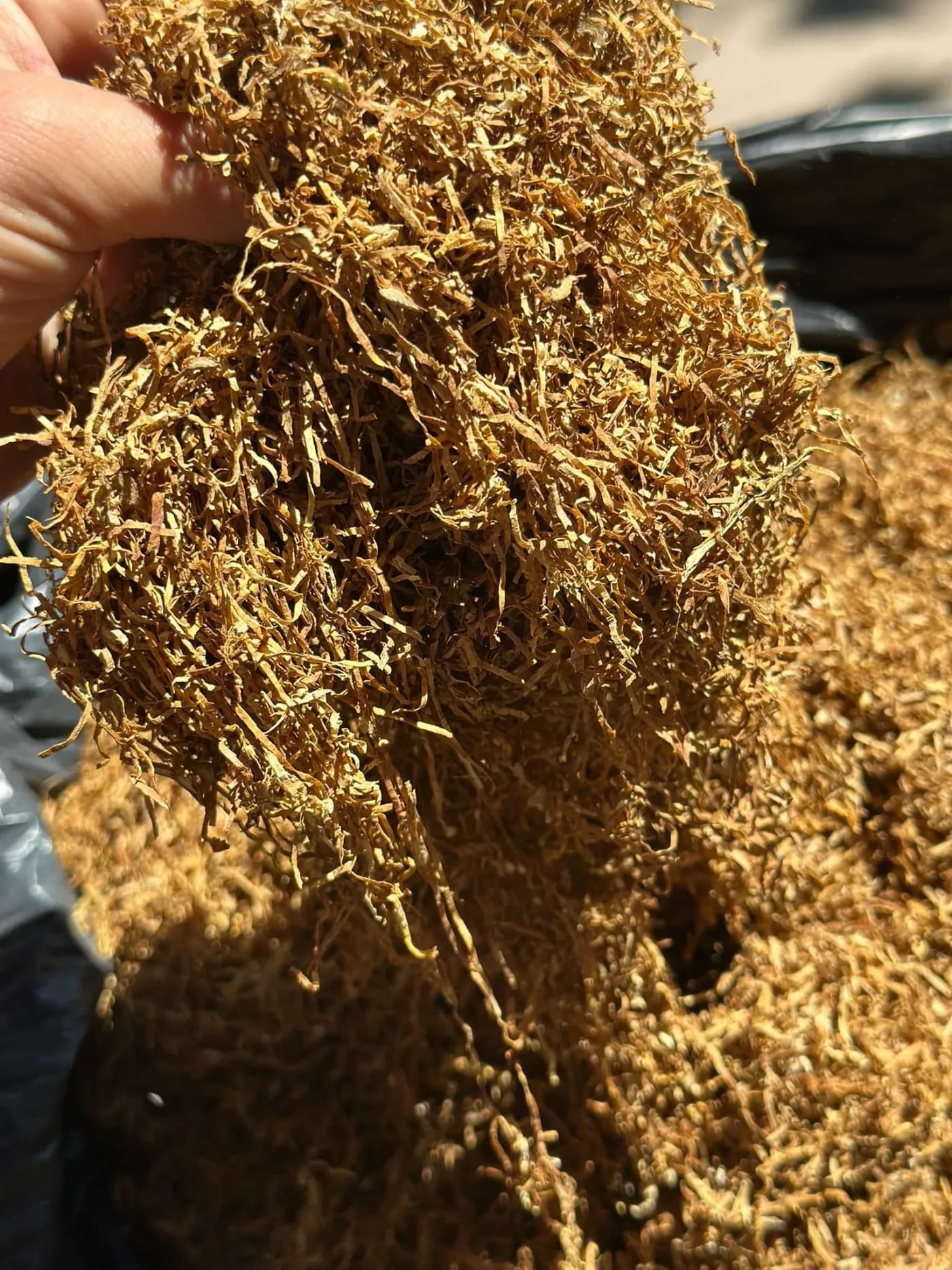Pungă de tutun de 1 kg, ambalată pentru livrare